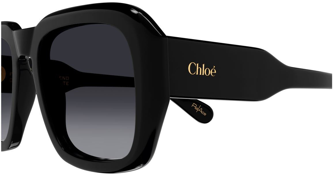 Gafas de Sol Chloe CH0310S