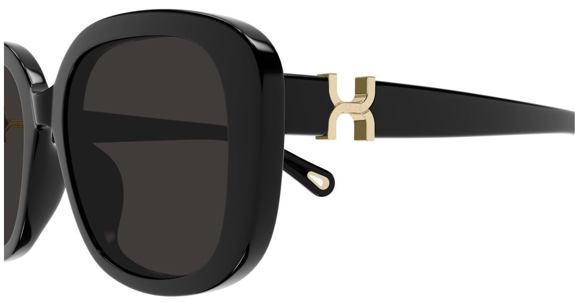 Gafas de Sol Chloe CH0303SK