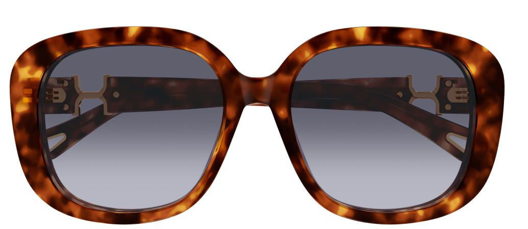 Gafas de Sol Chloe CH0303SK