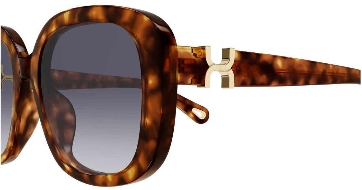 Gafas de Sol Chloe CH0303SK
