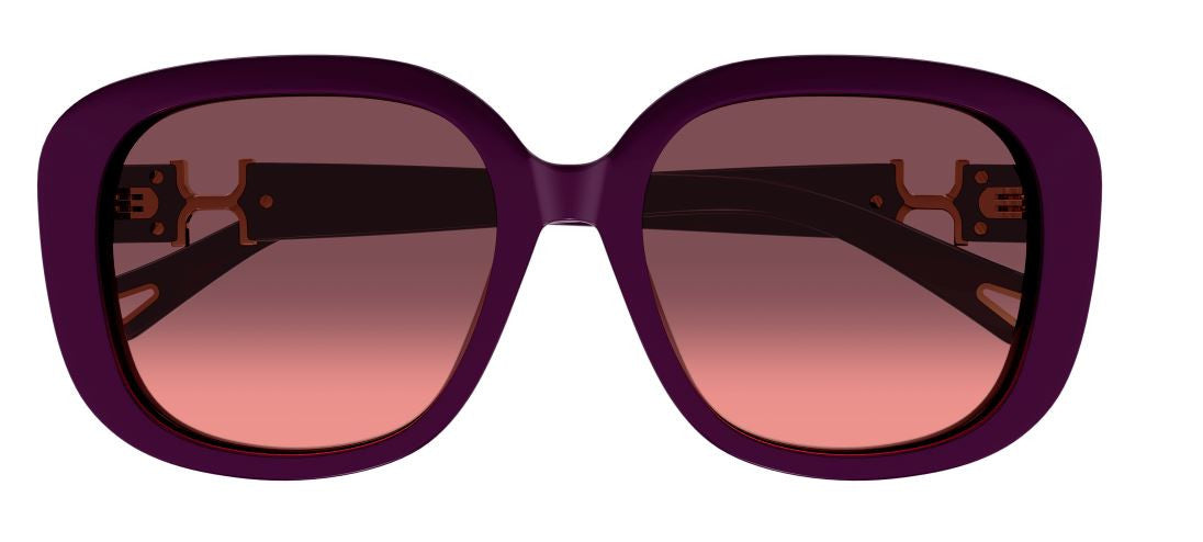 Gafas de Sol Chloe CH0303SK