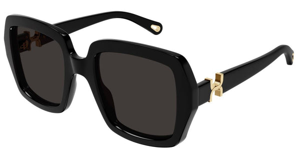 Zonnebrillen Chloe CH0301S