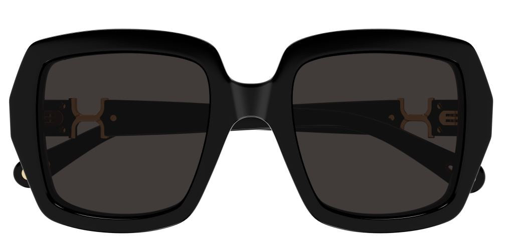 Chloe CH0301S Sunglasses