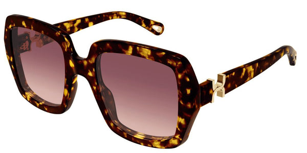 Zonnebrillen Chloe CH0301S