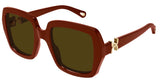 Gafas de Sol Chloe CH0301S