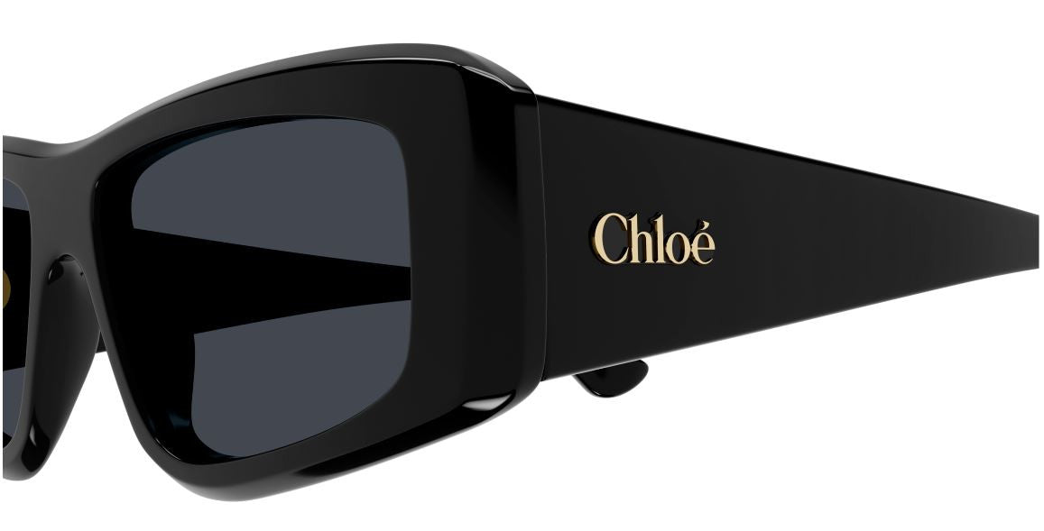 Sonnenbrille Chloe CH0299S