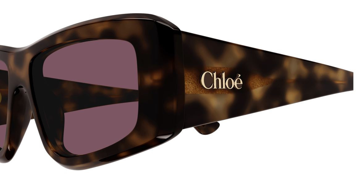 Sonnenbrille Chloe CH0299S