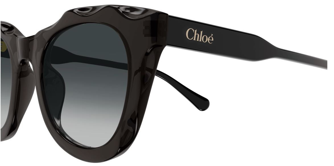 Gafas de Sol Chloe CH0295S