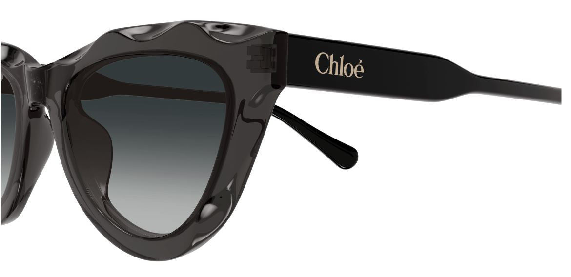 Sonnenbrille Chloe CH0294S