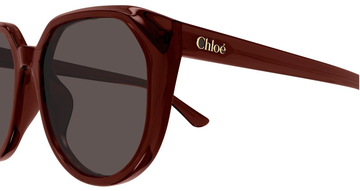 Sonnenbrille Chloe CH0291SK