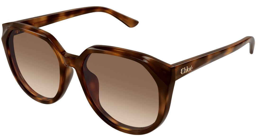 Sonnenbrille Chloe CH0291SK