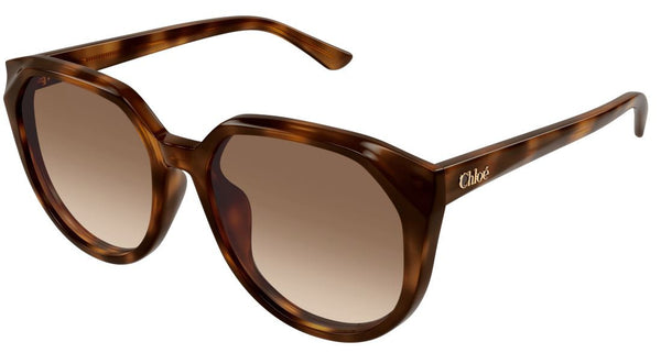 Gafas de Sol Chloe CH0291SK