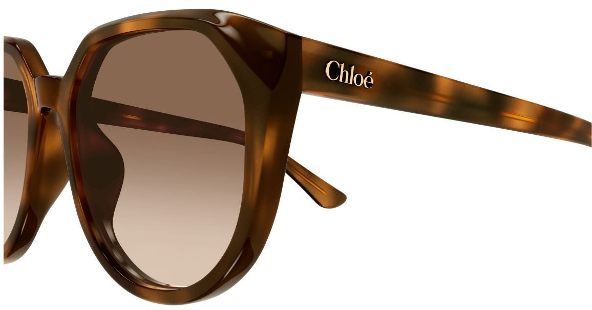 Sonnenbrille Chloe CH0291SK