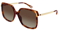 Sonnenbrille Chloe CH0286S