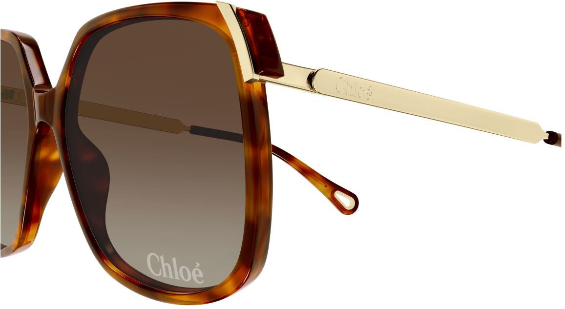 Sonnenbrille Chloe CH0286S