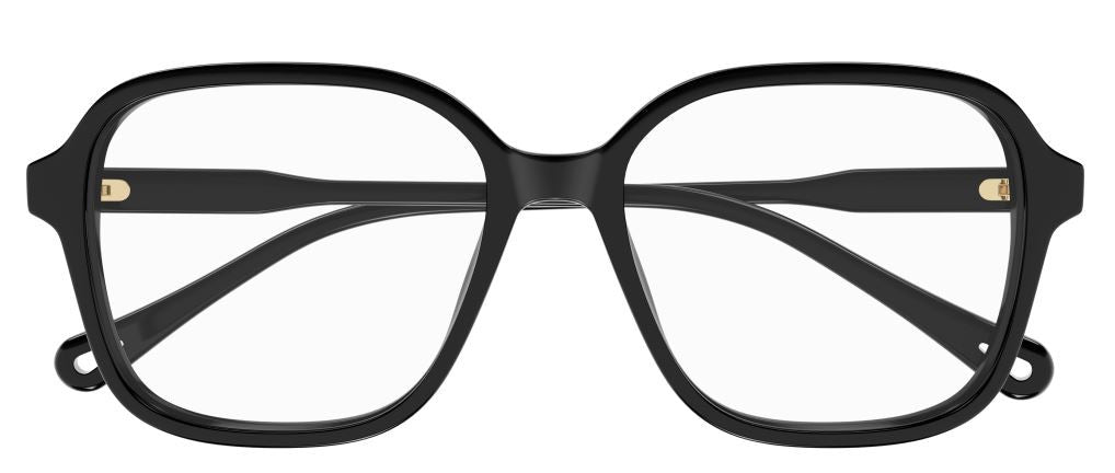 Brille Chloe CH0317OA
