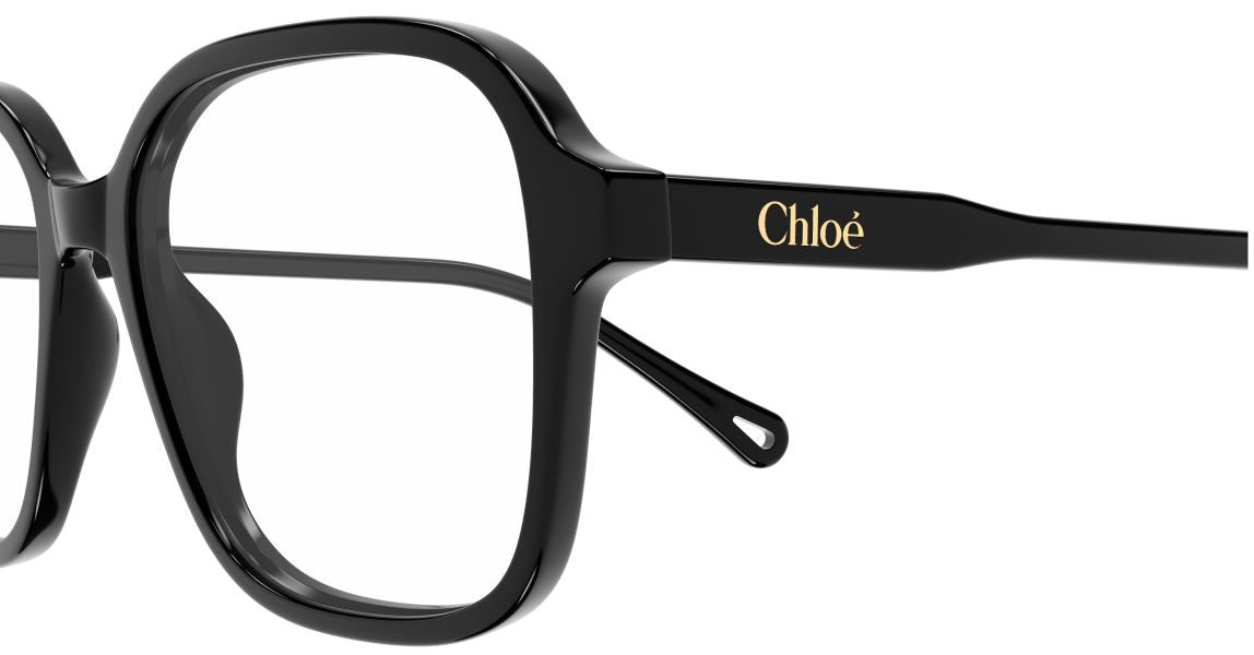 Brille Chloe CH0317OA
