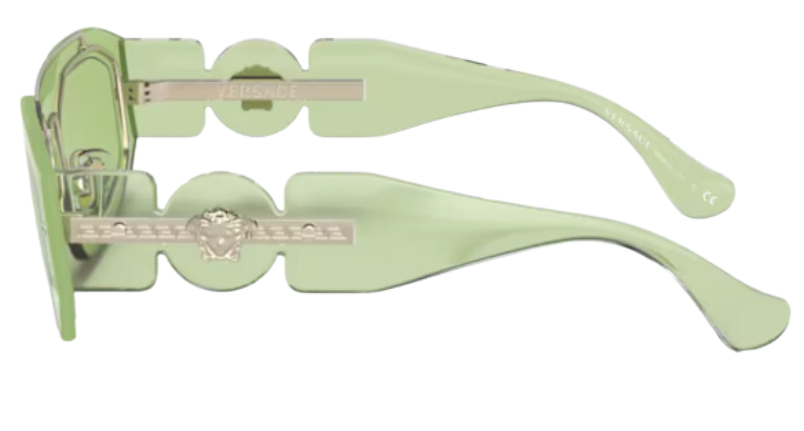 Versace Medusa Biggie VE2235 zonnebrillen