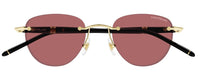 Mont Blanc Meisterstück MB0412S Sunglasses