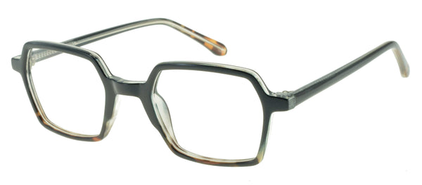 Lunettes de vue 100% Santé E5192 C1