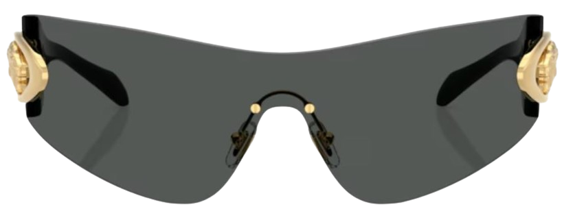Versace VE2280 zonnebrillen