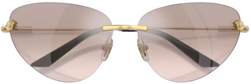 Sonnenbrillen Versace VE2281