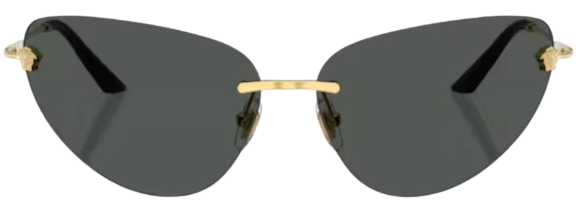 Sonnenbrillen Versace VE2281