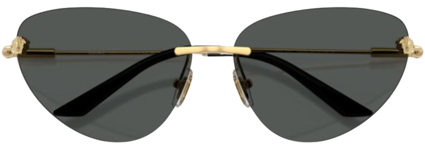 Sonnenbrillen Versace VE2281