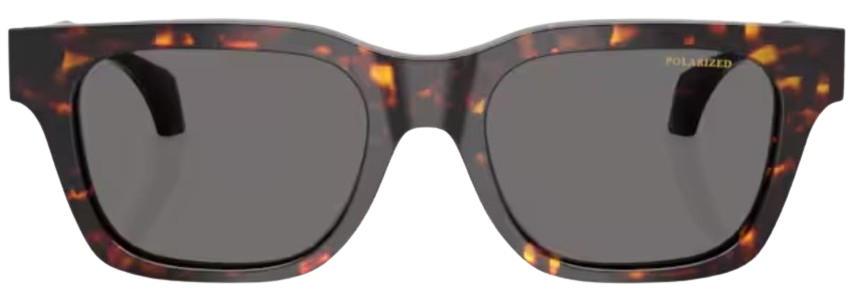 Versace VE4486 Sunglasses