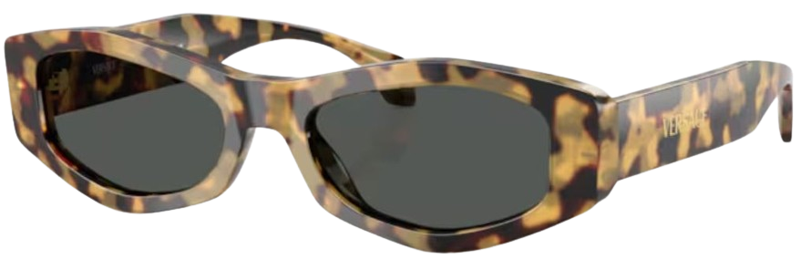 Óculos de Sol Versace VE4487