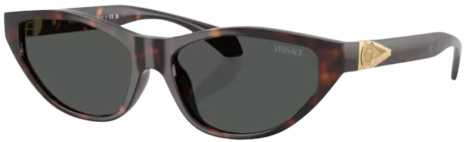 Versace VE4491U Sunglasses