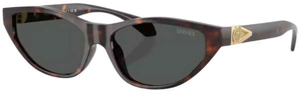 Óculos de Sol Versace VE4491U