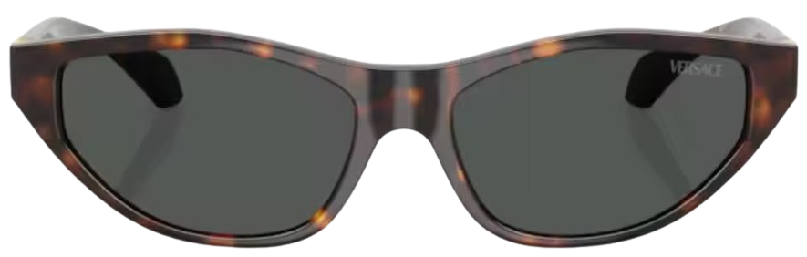 Versace VE4491U Sunglasses
