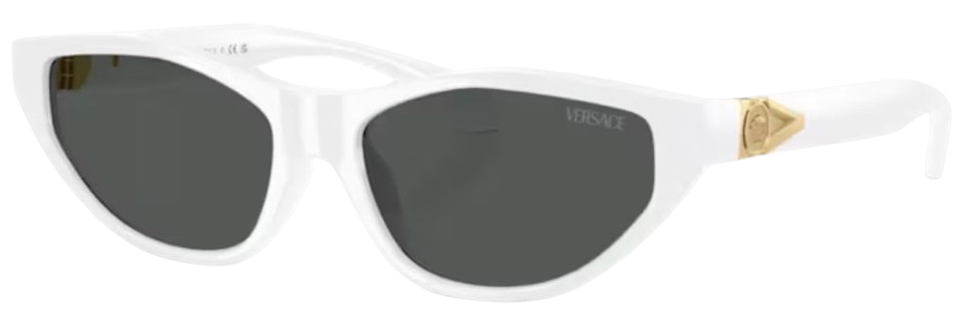 Versace VE4491U Sunglasses