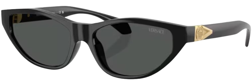 Versace VE4491U Sunglasses