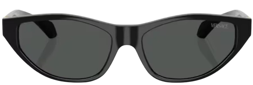 Versace VE4491U Sunglasses