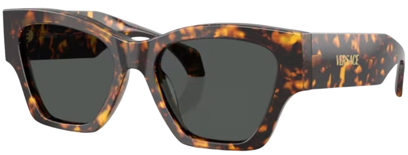 Versace VE4492U Sunglasses