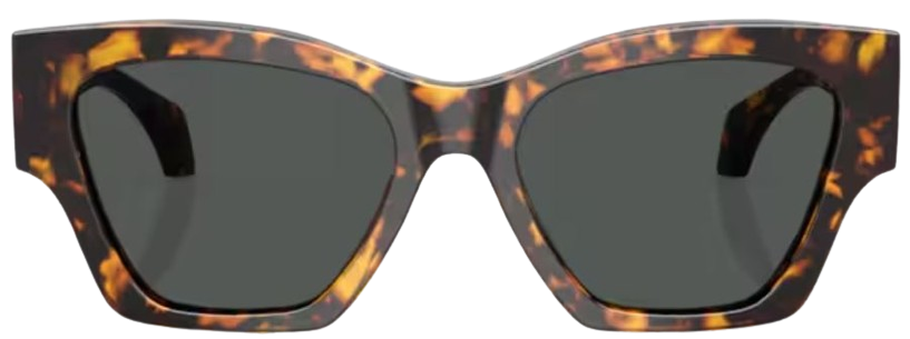 Versace VE4492U Sunglasses