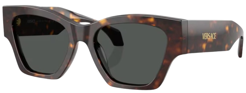 Versace VE4492U Sunglasses