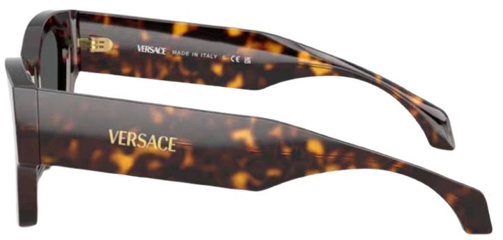 Versace VE4492U Sunglasses