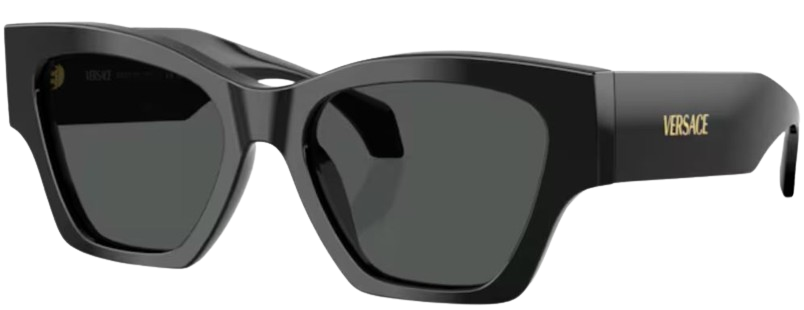 Versace VE4492U Sunglasses