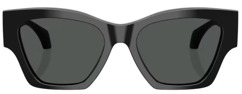 Versace VE4492U Sunglasses