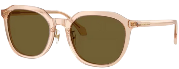 Zonnebril Versace VE4493D