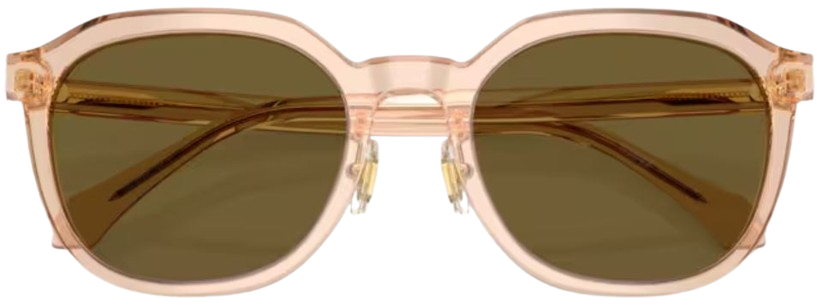 Versace VE4493D Sunglasses