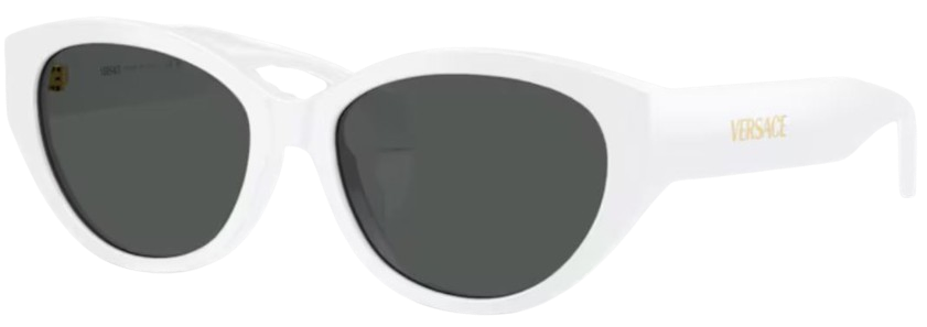 Versace VE4495D Sunglasses