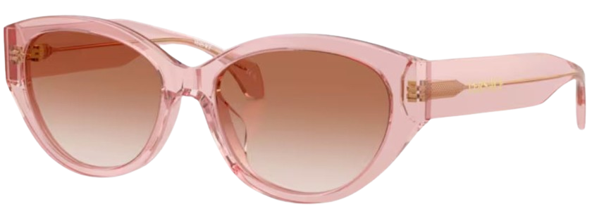 Versace VE4495D Sunglasses
