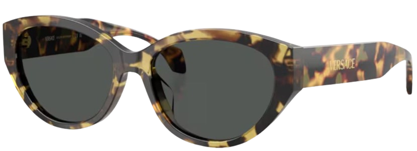 Versace VE4495D Sunglasses