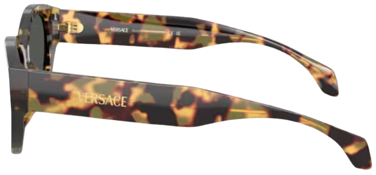 Versace VE4495D Sunglasses