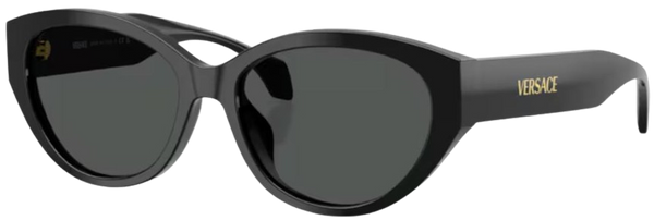 Сонцезахисні окуляри Versace VE4495D