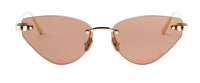 DIOR CDior B5U Sunglasses